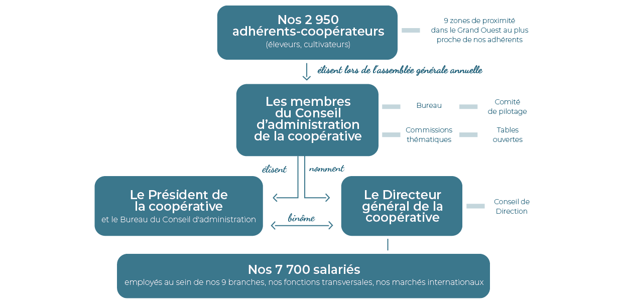 Schéma gouvernance coopérative Cooperl en 2022