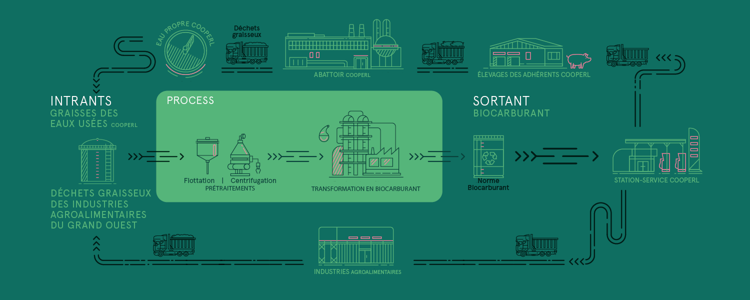 Cooperl Environnement, innovation biocarburant graisses