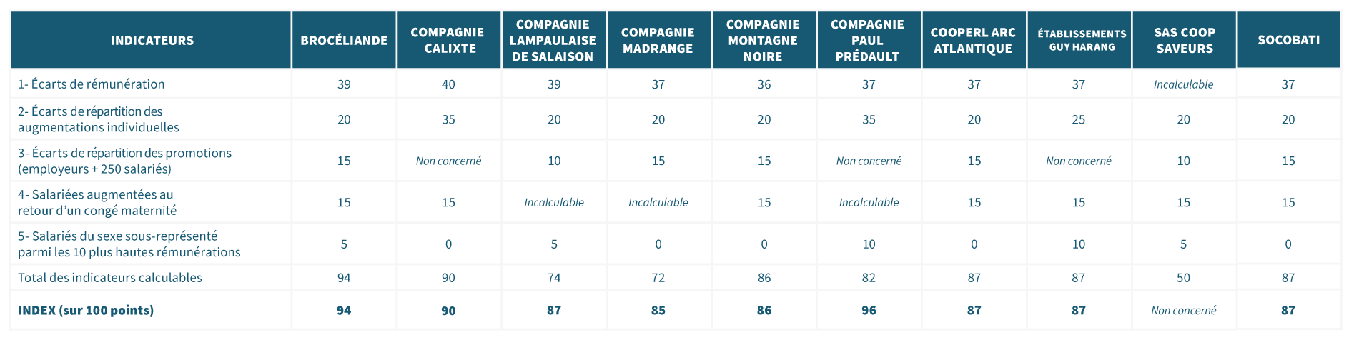 tableau indicateurs égalité professionnelle hommes femmes années 2022 cooperl