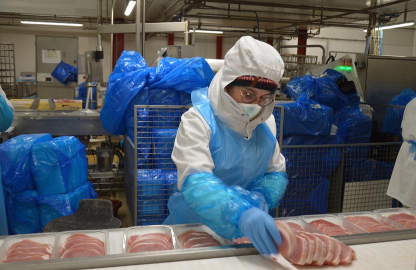 Cooperl recrute ses saisonniers pour l'été 2022