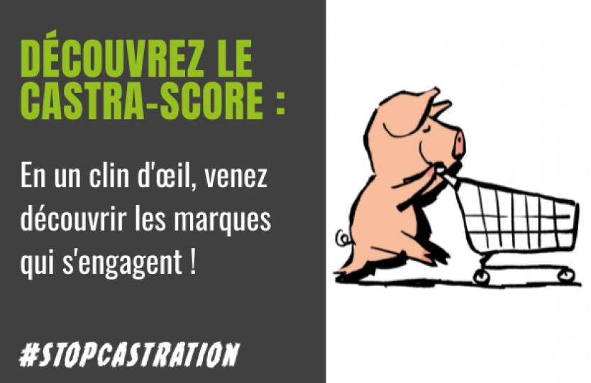 Découvrez le castra-score par Welfarm