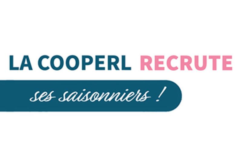 recrutement saisonniers été 2024