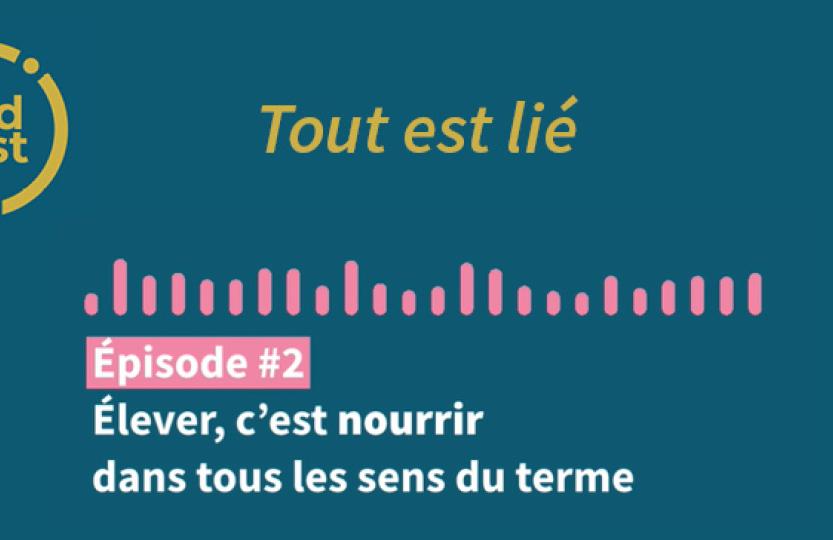 visuel podcast numéro 2 60 ans cooperl