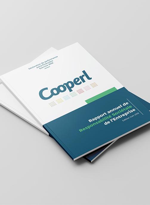 Rapport DPEF Cooperl édition juin 2019