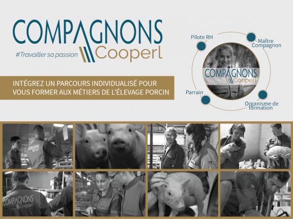 Compagnons Cooperl, formation en élevage et en agriculture