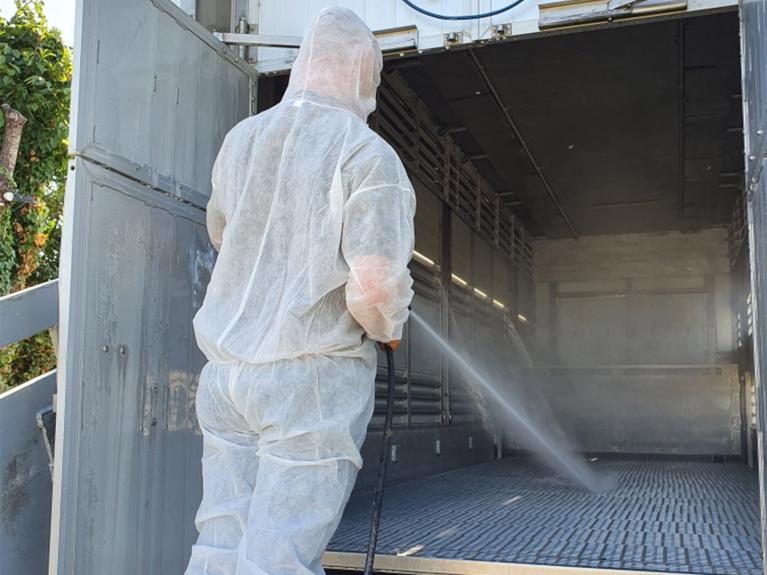 Règles sanitaires lors de l'arrivée du deuxième lot de reproducteurs Nucléus