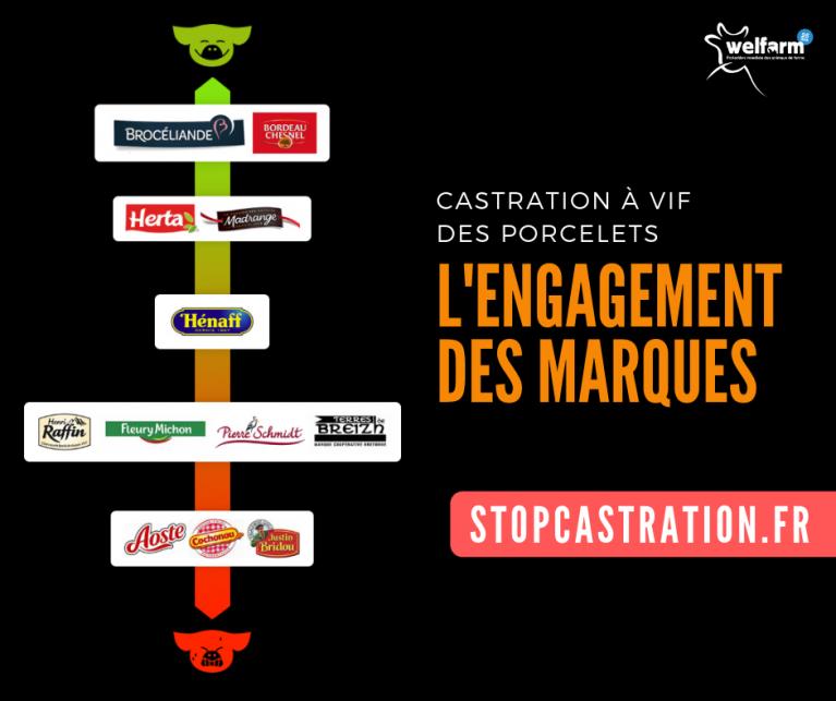 Classement par Welfarm de l'engagement des marques contre la castration à vif