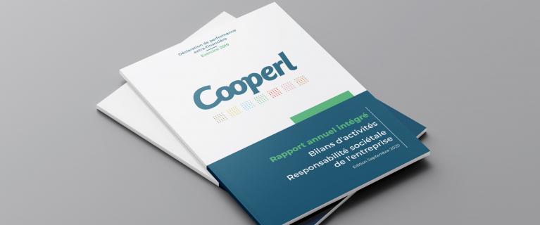 Rapport annuel intégré septembre 2020