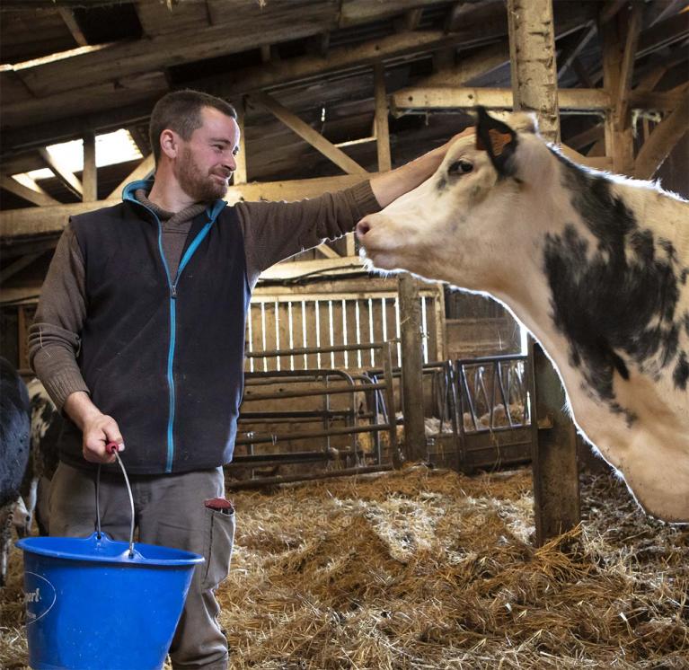 Nos engagements pour le bien-être animal appliqués à l’élevage de bovins