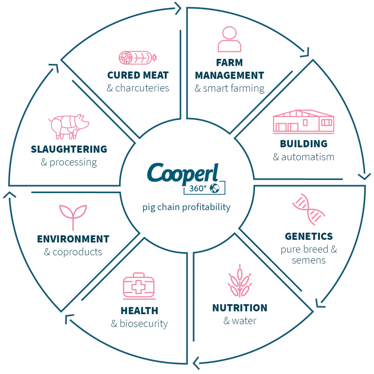 Cooperl 360° à l'export