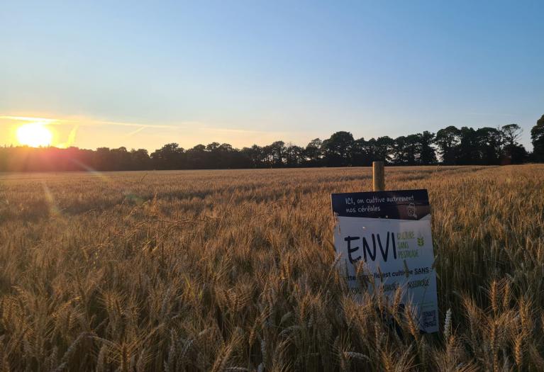 Démarche ENVI, les éleveurs adhérents Cooperl engagés pour une agriculture durable