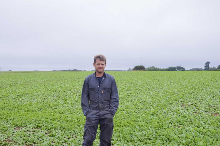 Thomas Thaeron, éleveur et adhérent Cooperl en Bretagne en France