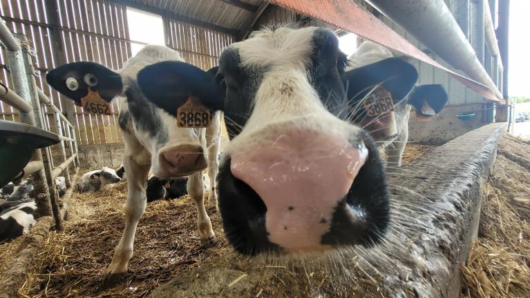 inauguration lizocat nouveauté filière bovine Cooperl