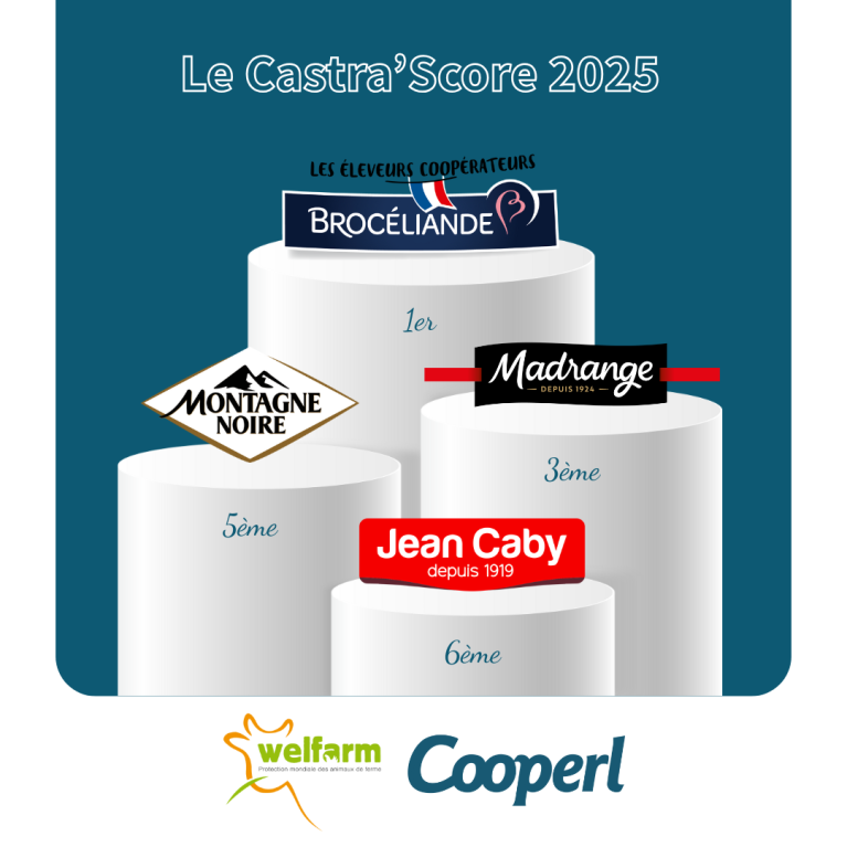 castra'score 2025