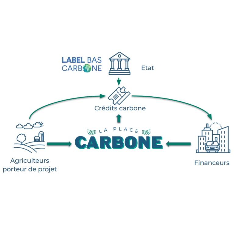 schéma la place carbone