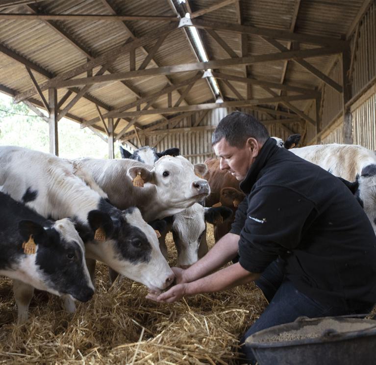 engagements bien etre animal élevage bovins