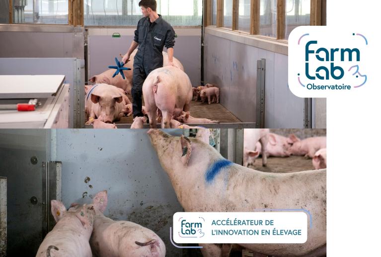 inauguration observatoire farmlab
