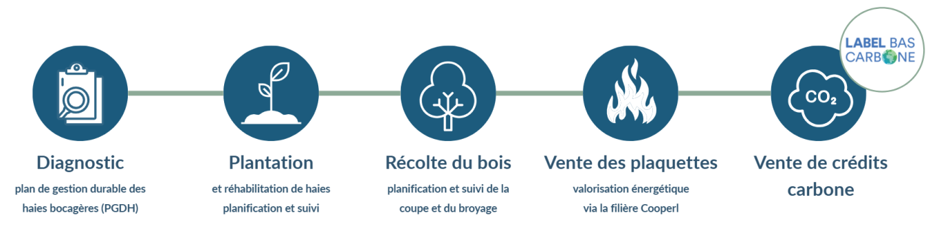 schéma bois et bocage